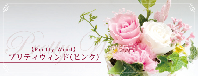 プリティウィンド(ピンク)【Pretty Wind】