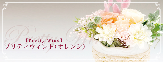 プリティウィンド(オレンジ)【Pretty Wind】
