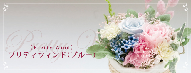 プリティウィンド(ブルー)【Pretty Wind】