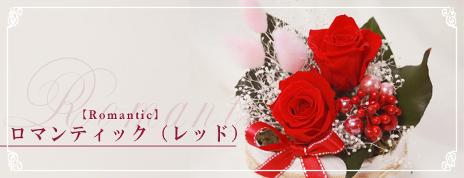 ロマンティック(レッド)【Romantic】