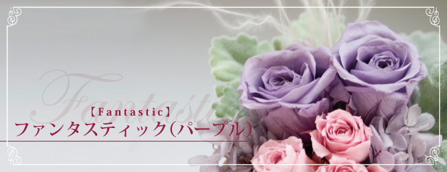 ファンタスティック パープル【Fantastic】