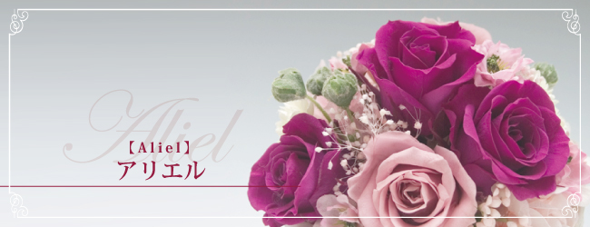 アリエル【Aliel】