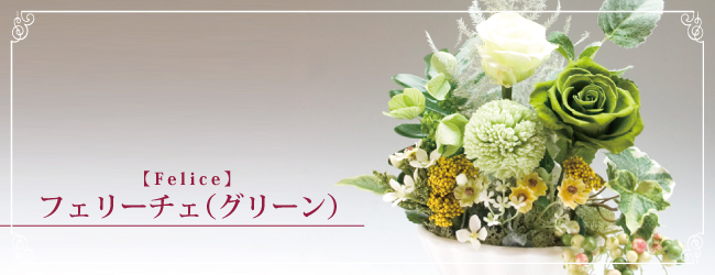 フェリーチェ グリーン【Felice】