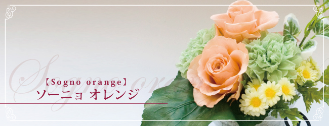 ソーニョ オレンジ【sogno orange】
