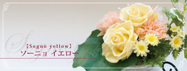 ソーニョ イエロー【sogno yellow】