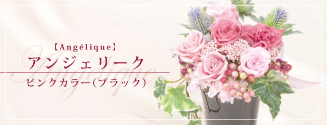 アンジェリーク ピンクカラー(ブラック)【Angélique】