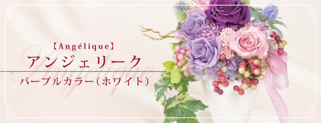 アンジェリーク パープルカラー(ホワイト)【Angélique】