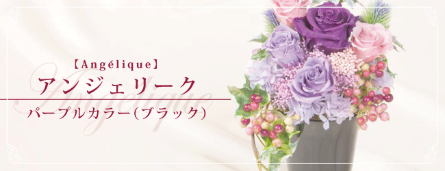 アンジェリーク パープルカラー(ブラック)【Angélique】