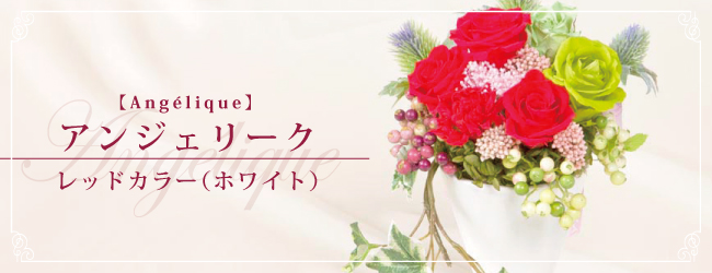 アンジェリーク レッドカラー(ホワイト)【Angélique】