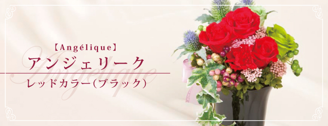 アンジェリーク レッドカラー(ブラック)【Angélique】