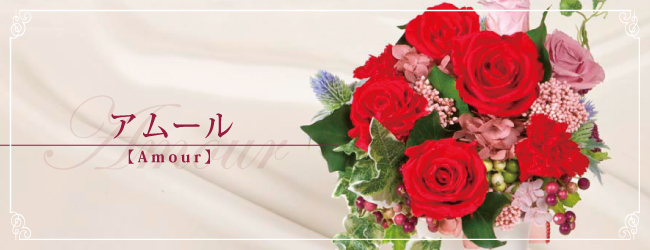 アムール【Amour】