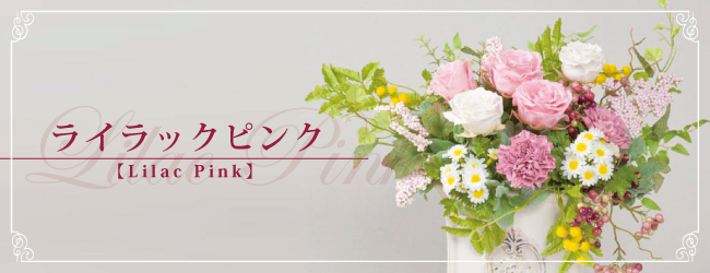 ライラックピンク【Lilac Pink】