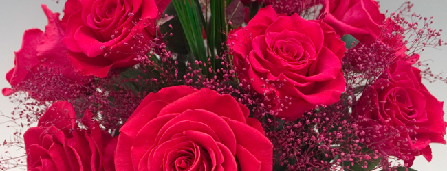 アルタローザ【alta rosa】 花材